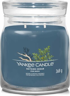 Yankee candle Bayside cedar signature medium jar 