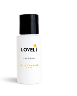 Shampoo Dry &amp; Damaged Hair travel size