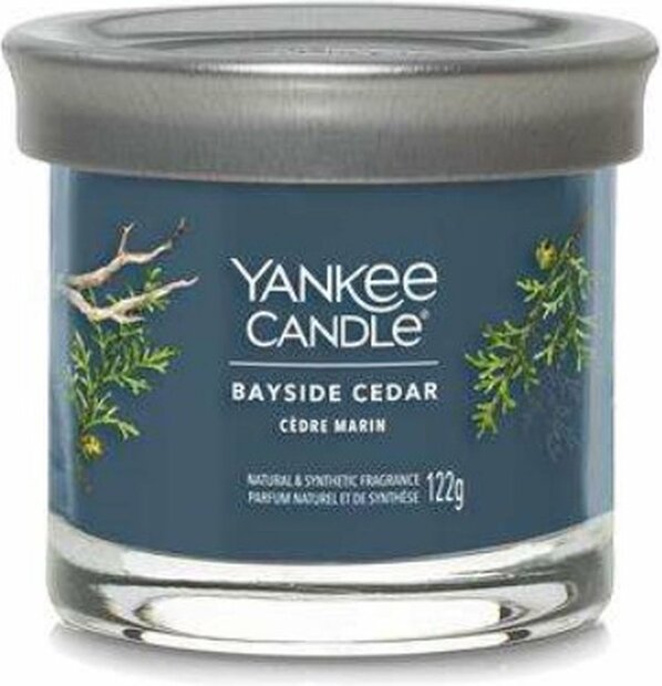 Yankee candle Bayside cedar signature small tumbler 