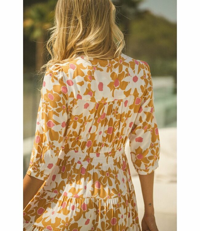 Jaase tansy print berry maxi dress