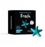 Wasparfum autoparfum fresh