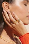 Wildthings Indian summer ring goud verguld 18 k - (US 7 / 17.4 mm)