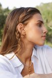 Wildthings Clover club coin earring goud verguld 18k